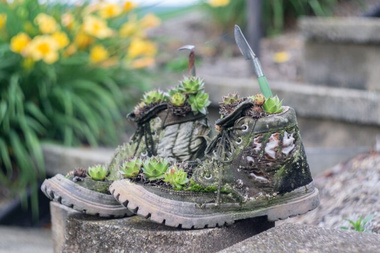 Buty dziecięce do biegania po lesie – jak wybrać idealne obuwie?